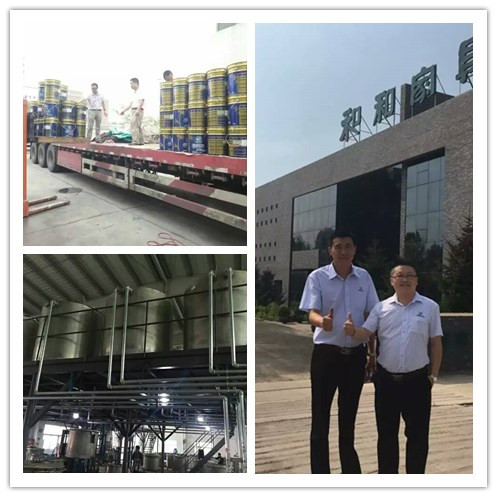 漆強(qiáng)化工--長(zhǎng)春盈潤(rùn)家具廠